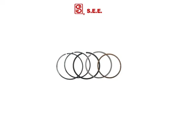 Кільця Delta 70 1.00 (Ø48.00mm) SEE