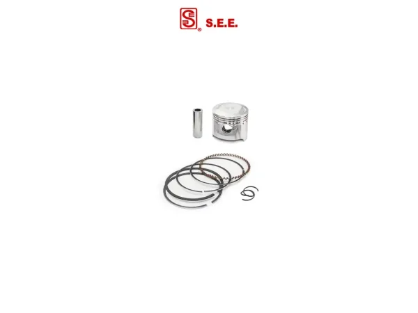 Поршень (у зборі) Delta 70 0.75 (Ø47.75mm) SEE