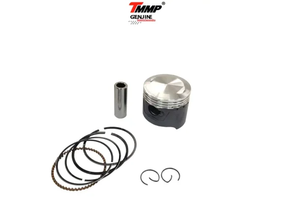 Поршень (у зборі) Delta 70 std (Ø47.00mm) TММР ТEFLON