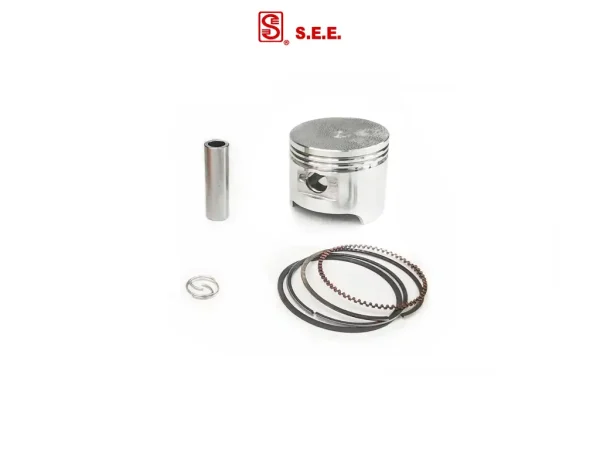Поршень (у зборі) Delta 110 0,50 (Ø52.90mm) SEE