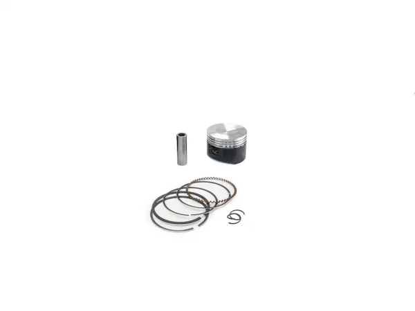 Поршень (у зборі) Delta 70 std (Ø47.00mm) WHV ТEFLON